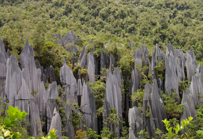 Sdostasien, Malaysia: Borneo - Sinfonie tropischer Grntne - Mulu Hhlen: Kings Chamber